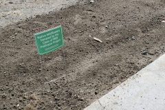 20220425_104151-scaled