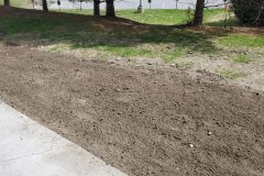 20220425_104154-scaled