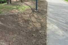 20220425_105943-scaled