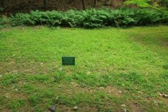 Lower-Cemetery-near-entrance_Original-scaled